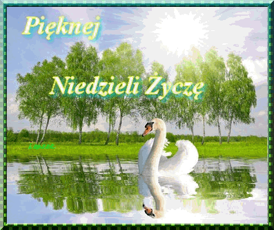 Łabędź życzy pieknej niedzieli